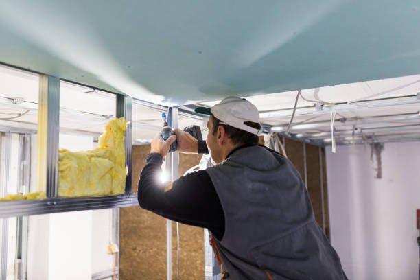 Best Insulation for Specific Applications in Duluth, WA