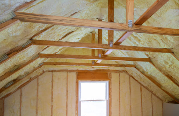 Best Spray Foam Insulation in Duluth, WA