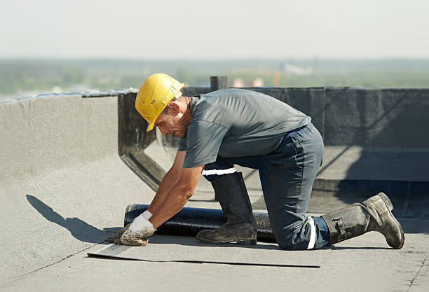 Best Eco-Friendly Insulation in Duluth, WA